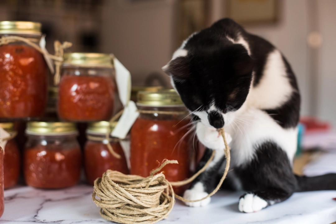 Recipe: Tomato sauce - 1